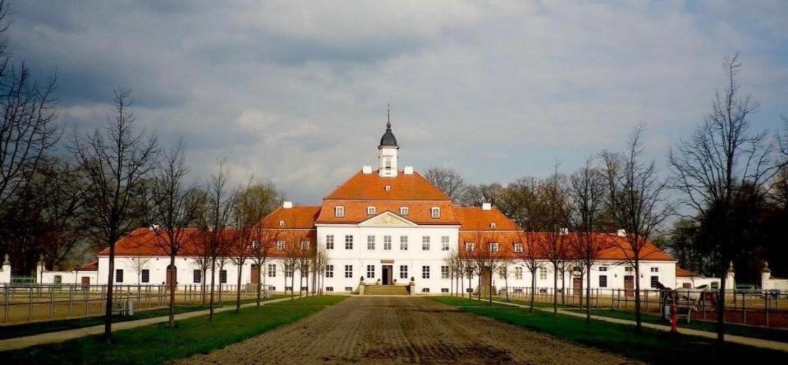Internat Schloss Spiegelberg Neustadt  Экстерьер фото